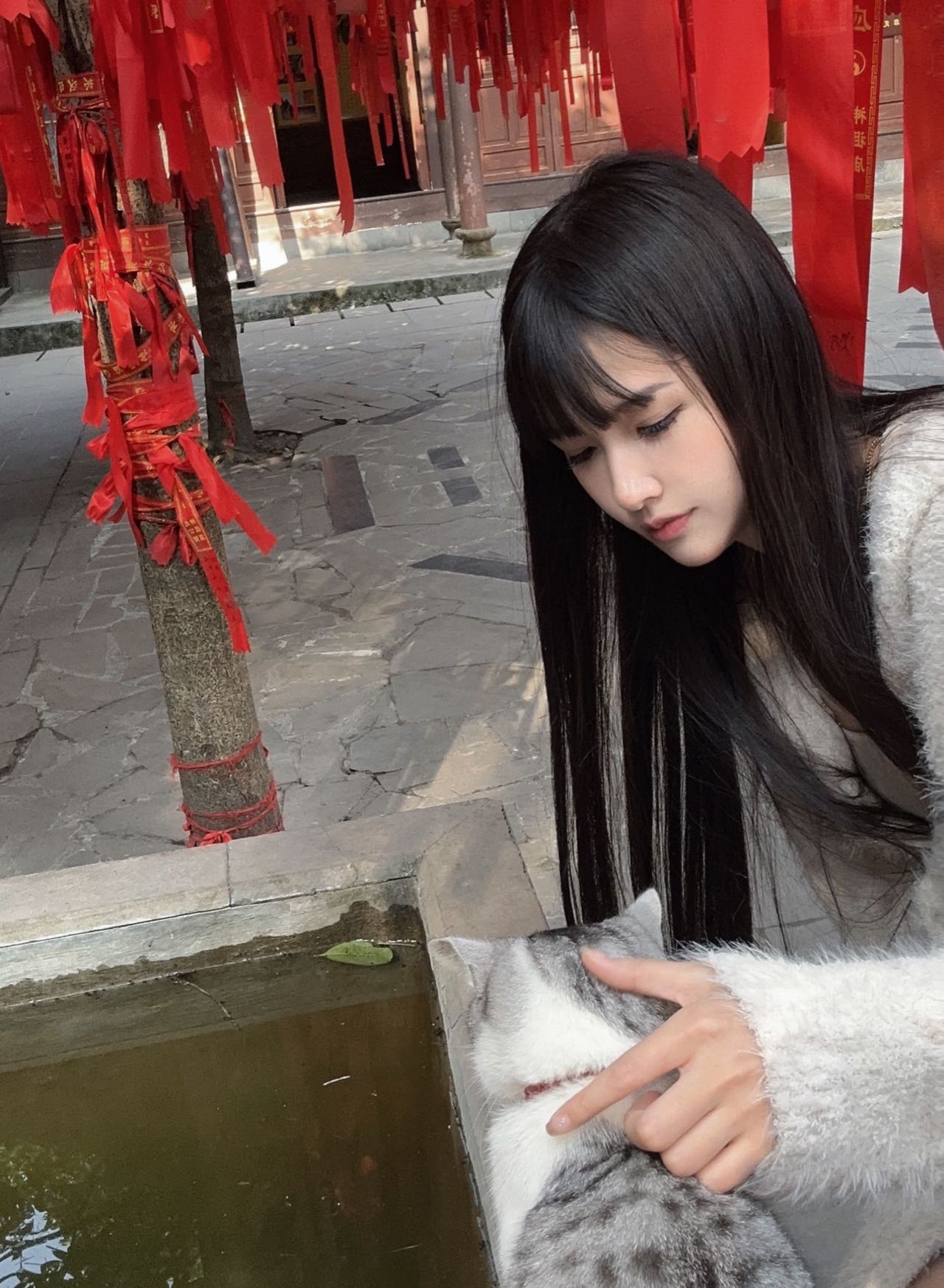 赵淼
